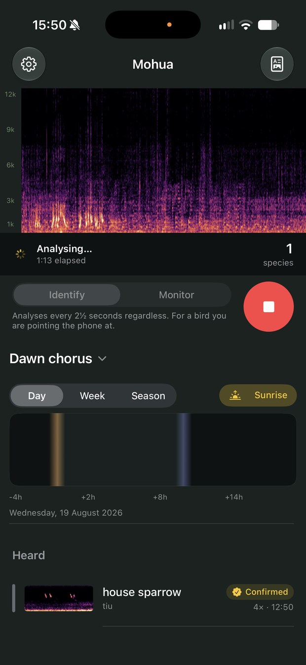 The app listening: a live spectrogram full of sound, a running elapsed time, and one bird named beneath it.